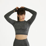 Elite Seamless Longsleeve Crop Top Grey